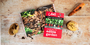 5 beginner-friendly vegetables to plant this spring and summer