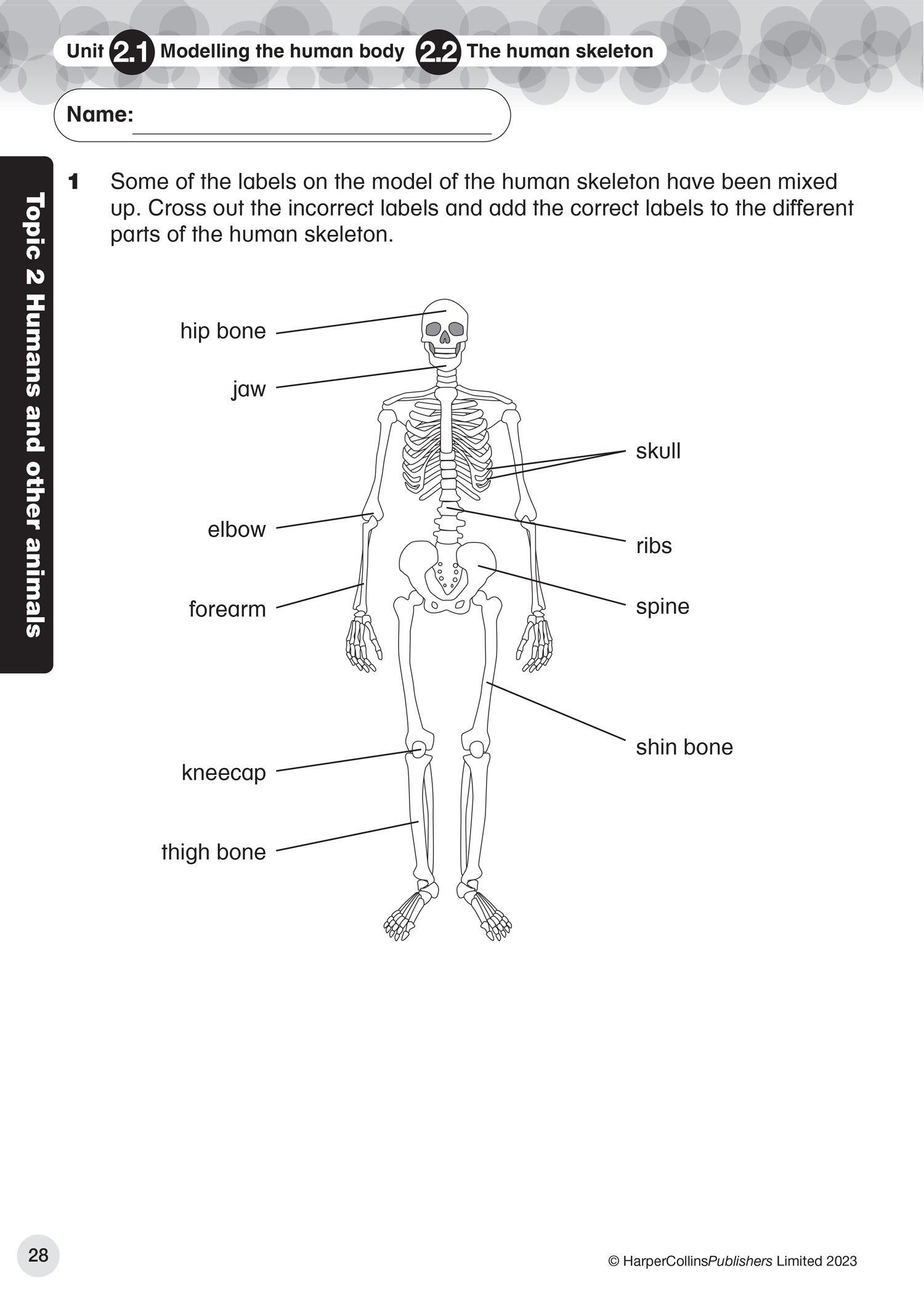 International Primary Science Progress Book Teacher Pack Stage 4 by