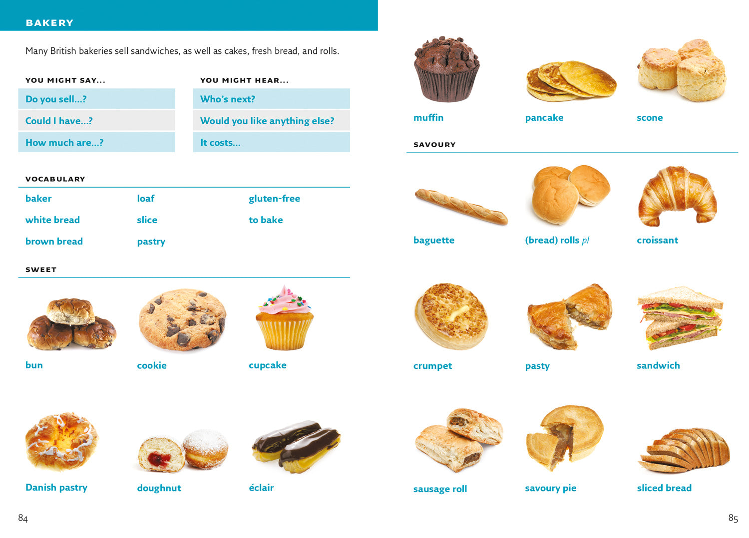 English Visual Dictionary by Collins