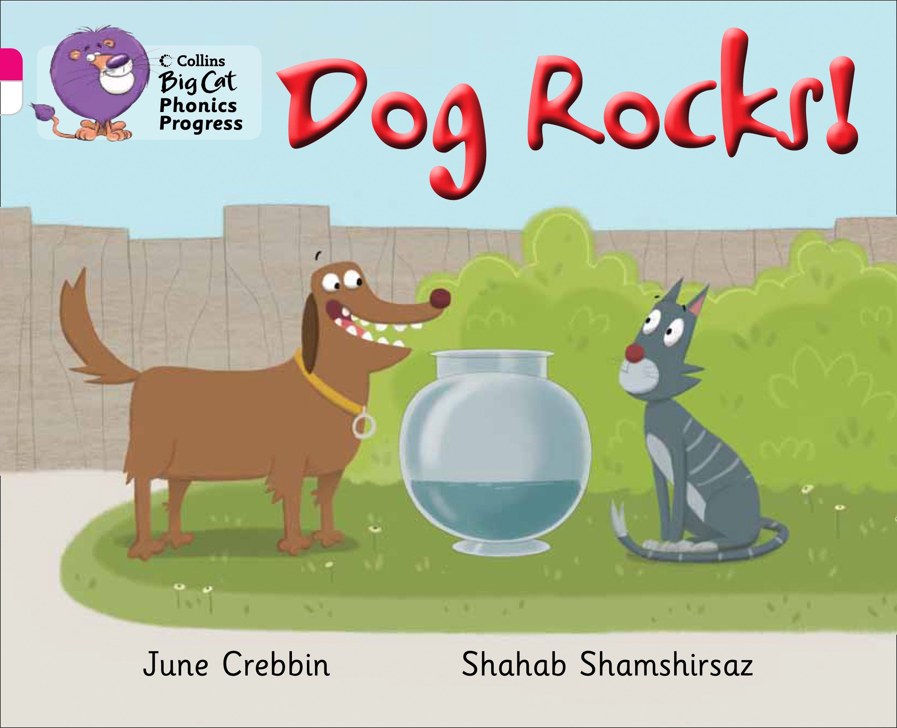 Dog Rocks!: Band 01B Pink B/Band 10 White By June Crebbin – Collins