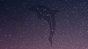 Beautiful Constellations to find this Summer