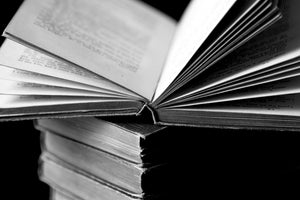 Revisiting the text: Teaching the 19th Century Novel