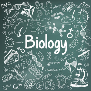 A-level Biology: Understanding Cladistics