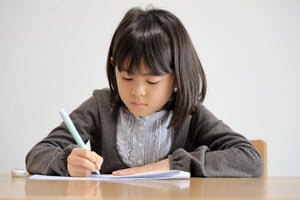 Applying Vocabulary, Grammar and Punctuation in Writing