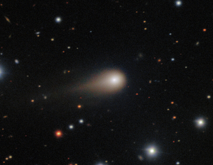 An icy visitor from beyond the Solar System