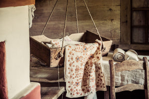 Secondary History – Victorian Baby Farms