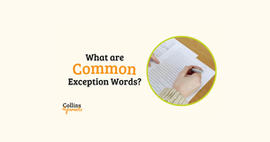 What are Common Exception Words?