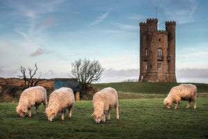 9 Places to Visit Around the Cotswolds