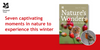 Seven captivating moments in nature to experience this winter
