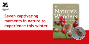 Seven captivating moments in nature to experience this winter