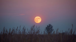 May 2026 - the month of two Full Moons