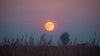 May 2026 - the month of two Full Moons