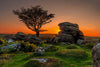 Top 10 Places to Visit in Devon