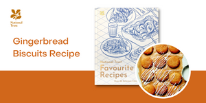 Gingerbread Biscuits Recipe
