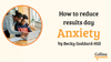 How to reduce results day anxiety