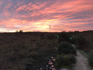 Poetry retreats for primary kids: sunsets, reflections and togetherness