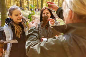 Science: Identifying Trees