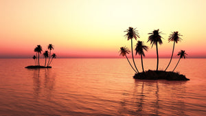 Secondary English – Market Place Persuasion