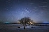 An Extraterrestrial Home Delivery