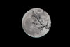 Chemistry goes to the Moon