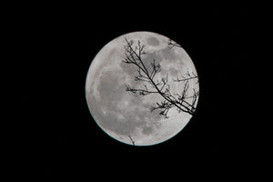 Chemistry goes to the Moon