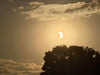 When the Moon eclipses the Sun