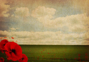 Causes and effects of World War 1