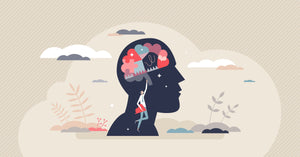Secondary Psychology – How to learn studies