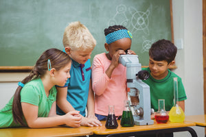 Science – Science Week and Scientific Enquiry