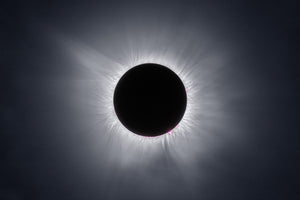 Chasing the Great American Eclipse