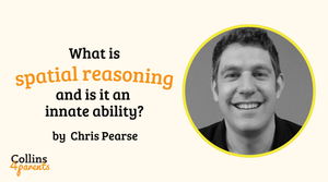 What is spatial reasoning and is it an innate ability?
