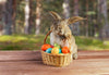 The Traditions of Easter