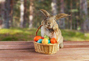 The Traditions of Easter