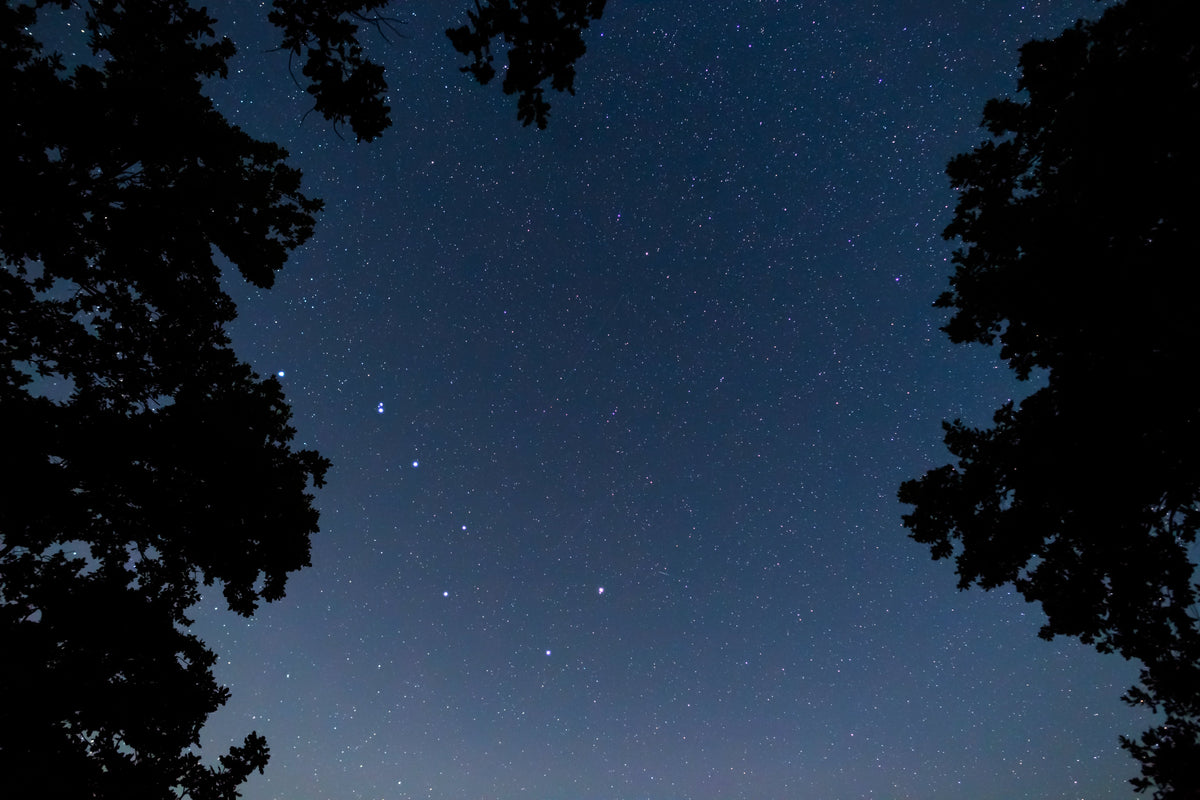 Top Tips for Stargazing this Autumn and beyond – Collins