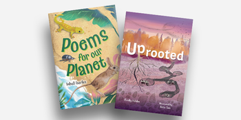 Little Wandle Fluency Level 15