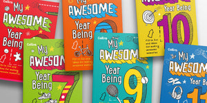 My Awesome Year