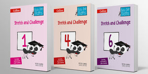 Busy Ant Maths Individual Support & Intervention