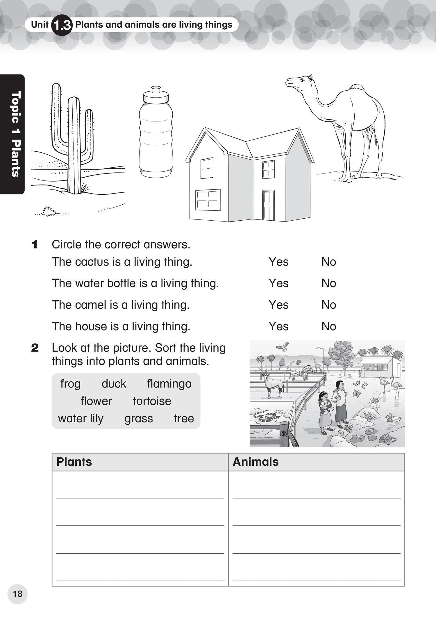 International Primary Science Progress Book Studentu2019s Book Stage 1 by Tracy Wiles Collins
