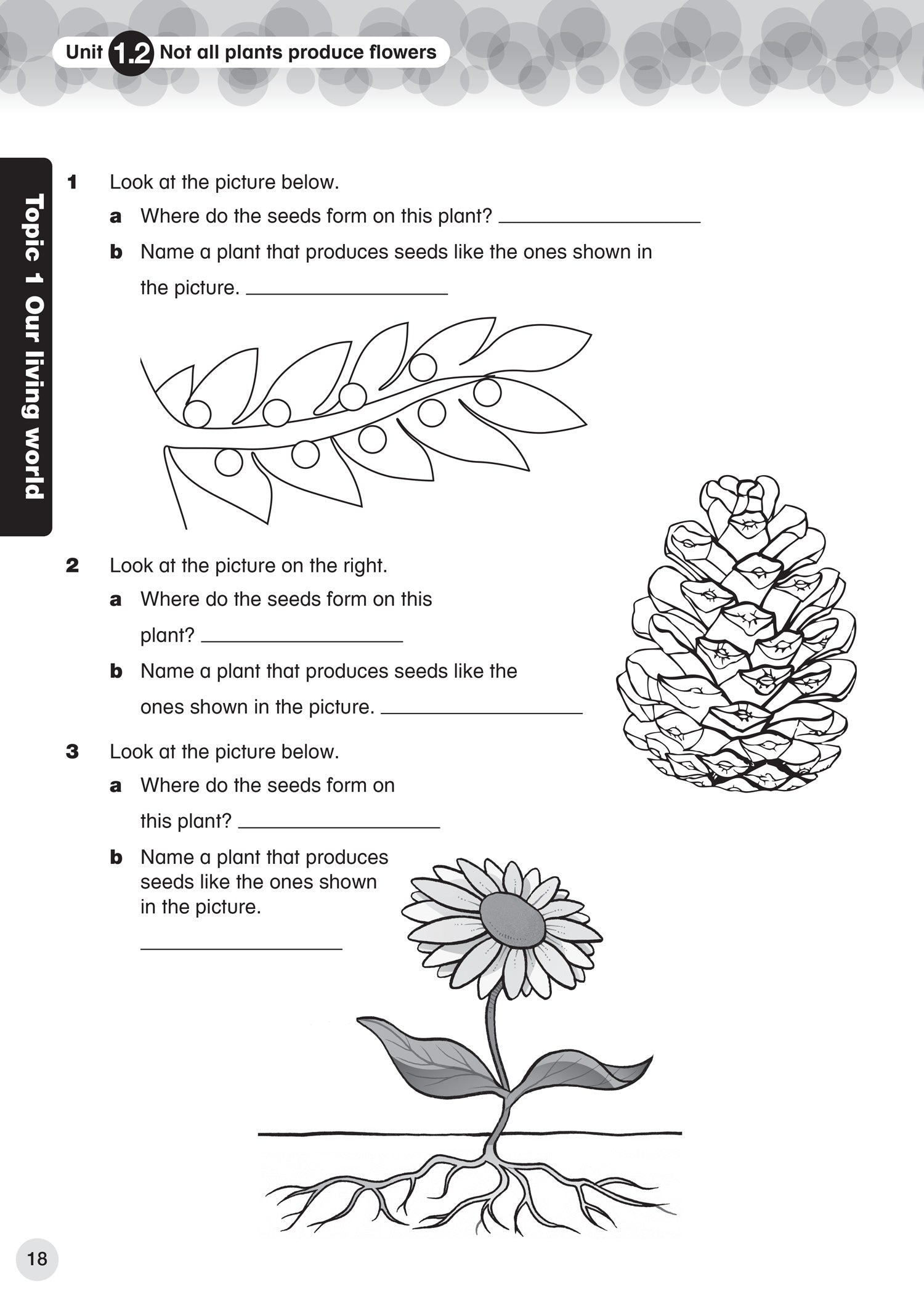 International Primary Science Progress Book Studentu2019s Book Stage 5