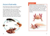 Sample 1 for Big Cat for Little Wandle Fluency - Why is the sky blue?: Fluency 14 (9780008768003)