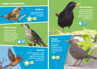 Sample 1 for Collins Michelin i-SPY Guides - i-SPY Garden Birds: Spy it! Score it! (9780008431716)