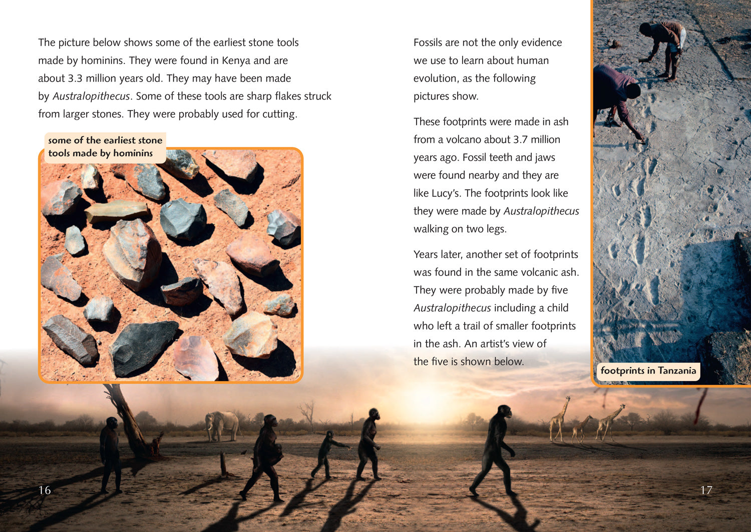 The Story of Us: Becoming Human by Michael Haralambos and Wendy Hope ...