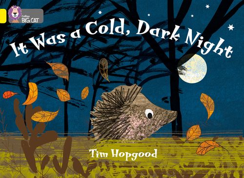 Front cover of It Was a Cold, Dark Night by Tim Hopgood, illustrated by Tim Hopgood