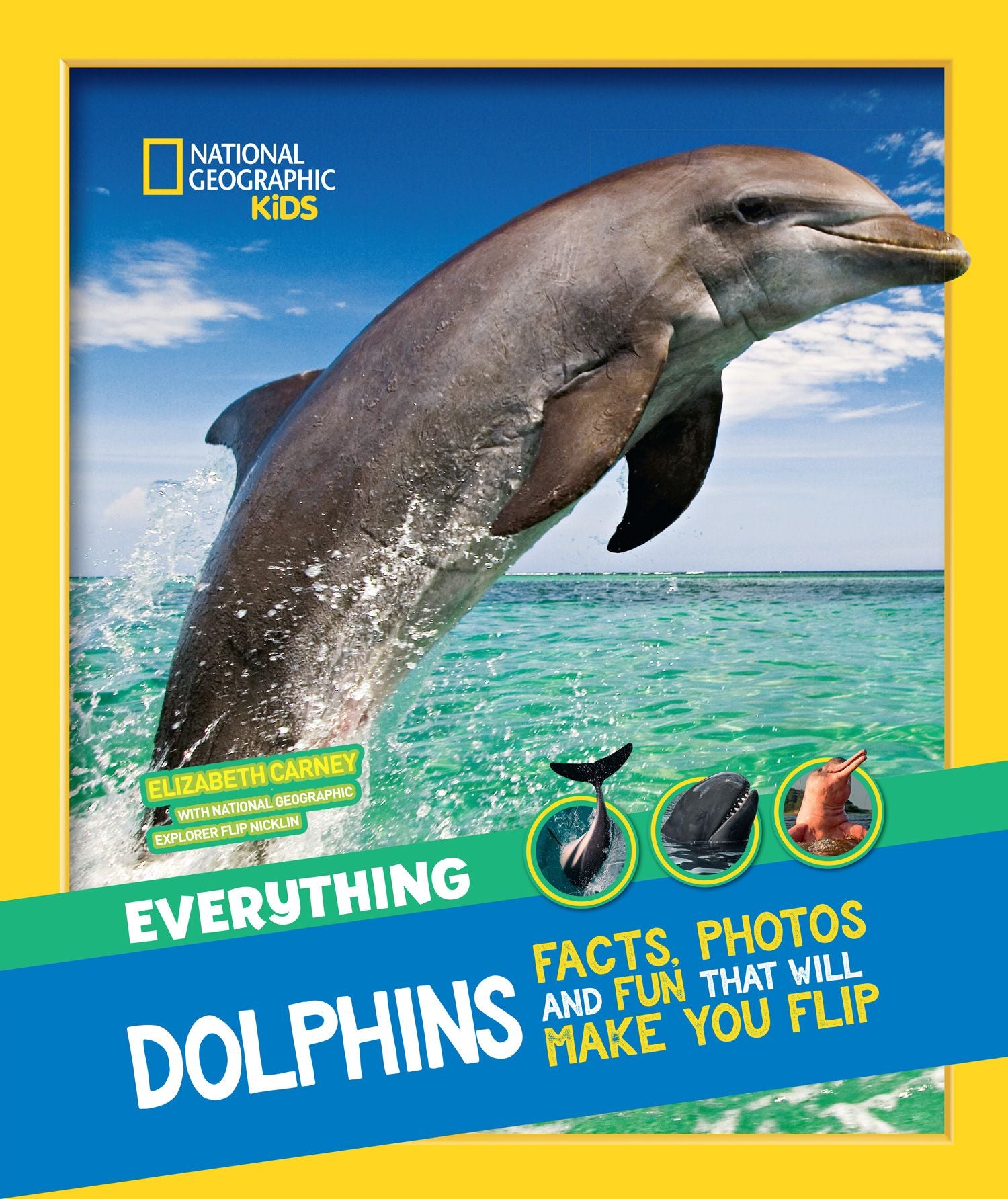 National Geographic Kids - Everything: Dolphins – Collins